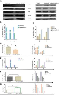 Concentration-Dependent Decitabine Effects on Primary NK Cells Viability, Phenotype, and Function in the Absence of Obvious NK Cells Proliferation–Original Article